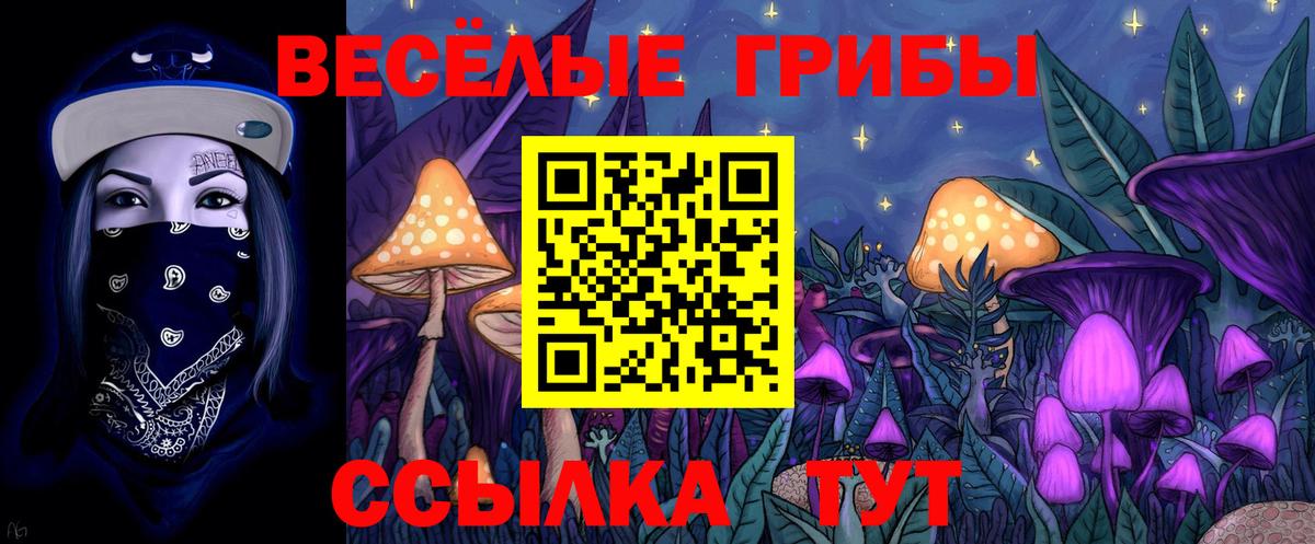 Псилоцибиновые грибы Magic Shrooms Вышний Волочёк